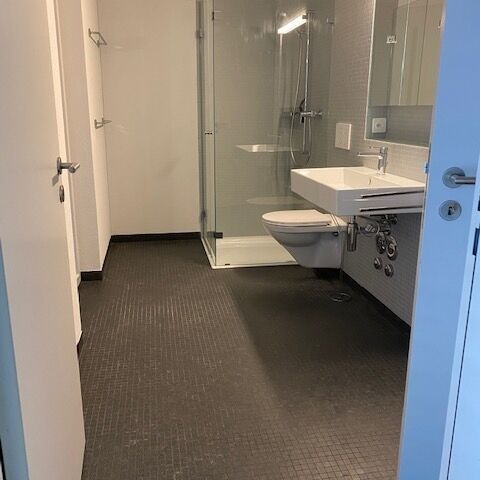 Naturnahes Wohnen direkt an der Limmat - Foto 1