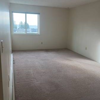 2 Bedroom available now at Ridgemont Apartments - Cat Friendly! - Photo 1