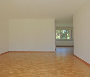 LOCATION SANS ACOMPTE - Bel appartement à Pfäffikon - Photo 4