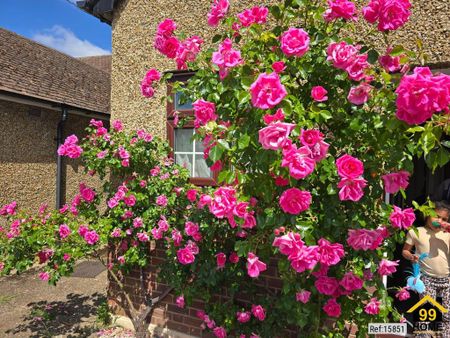 4 bedroom semi-detached house to rent - Photo 3