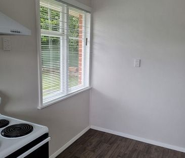 Completely renovated top to toe 2 bedroom unit - Photo 1