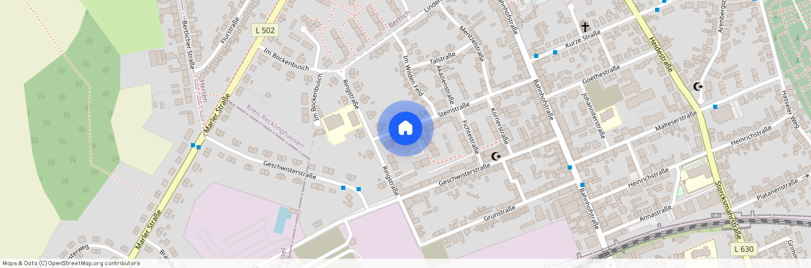 Steinstr. 35, 45701, Herten Ot Westerholt