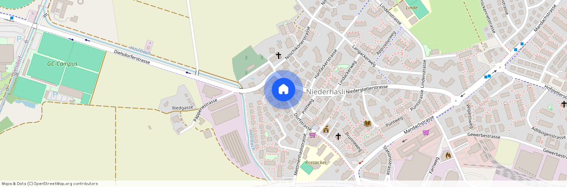 Auf Anfrage, 8155 Niederhasli