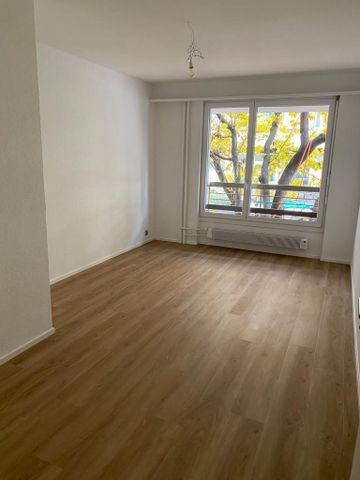 "Komplett sanierte, grosszügige Single-Wohnung mit zwei Terrassen" - Photo 4