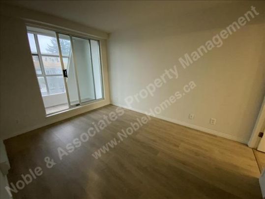 4113 Fraser Street P7 Vancouver - Photo 1