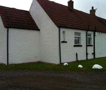 2 bedroom semi-detached house to rent - Photo 4