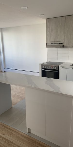 Camelia Court - Photo 1