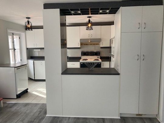 Superbe grand 5 1/2 sur 2 étage, Terrasse privée, Vieux-Port - Photo 1