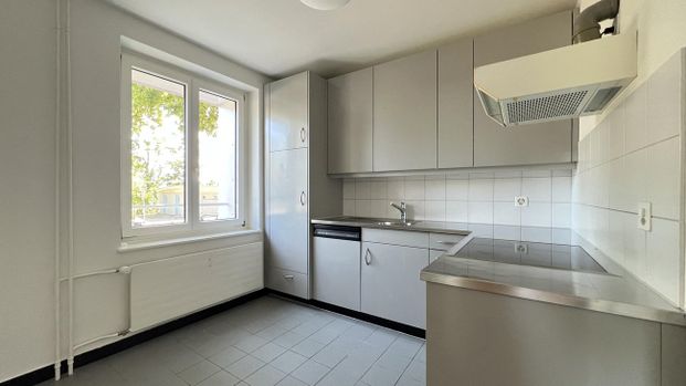 Kinderfreundlich wohnen nähe Rhein im Hirzbrunnenquartier - Photo 1