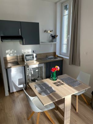 Studio meublé 20m2 Villeurbanne - Photo 1