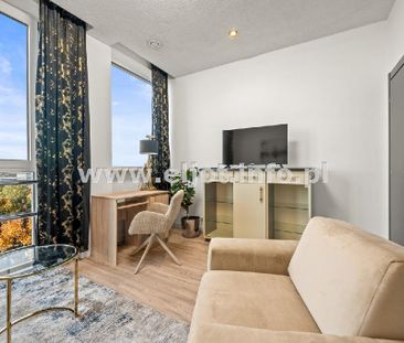 Mieszkanie Katowice Koszutka powierzchnia 84.0 m² C235-WM-14037 - Photo 5