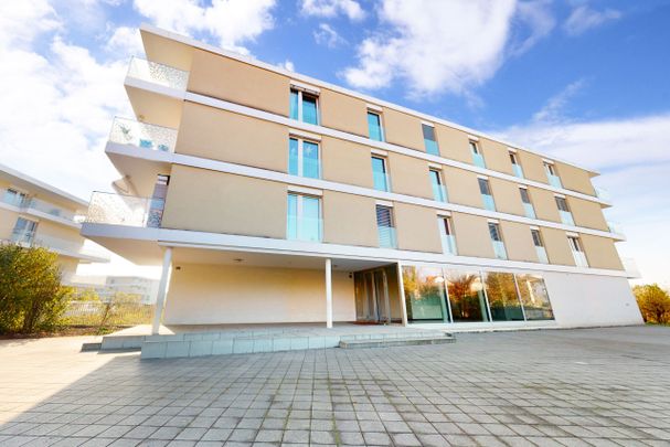 Le confort daujourdhui - Foto 1