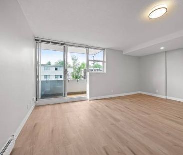 Renovated And Bright Pet Friendly Studio Close To Main Street - Photo 4