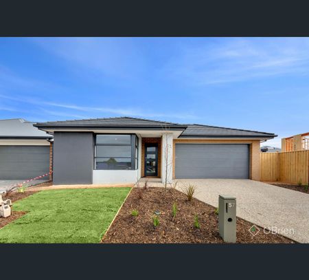 67A Sandringham Parade, Newtown, Vic 3220 - Photo 4