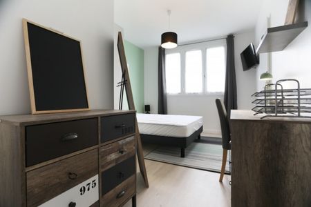GRIFFOUL Roommate 4 Bedrooms at Toulouse - Photo 3