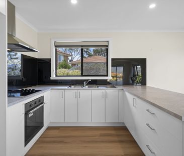 Renovated 2 Bedroom Unit - Photo 6