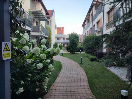 Kiadó lakás - Pécs - Fotó 2