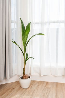 6 Bed Terraced House, Chester Road, M16 - Photo 1