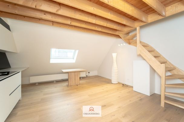 Gerenoveerd appartement met unieke en rustige ligging - Foto 1