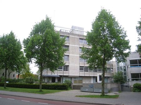 Te huur: Appartement Burgemeester Drijbersingel 19 209 in Zwolle - Foto 2