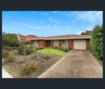 Spacious Family Home in Prime Manningham Location - Photo 1