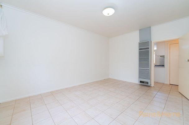 Homely & Light filled Two-Bedroom Unit - Photo 1