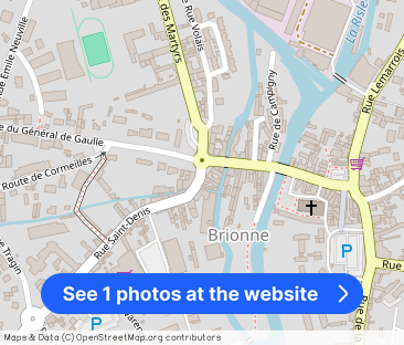 BRIONNE – CAMPANULES – C3 - Photo 1