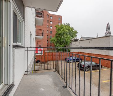 215 Clarence Street Apartments - Photo 4