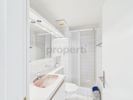 Möblierte 4-Zimmer-Wohnung mit Stadtblick in Basel - Photo 2