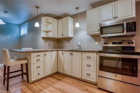 19 Peachtree Cres., Lower, Guelph - Photo 4