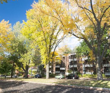 3 1/2 Ste-Foy - Tout inclus - près du cégep Garneau - octobre - Photo 2