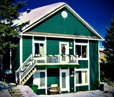 OUI C'EST DISPONIBLE ! APPARTEMENT 4 1/2 À SAINT-SAUVEUR, PRÈS DE M... - Photo 3