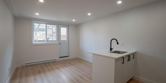 Studio - 3915 Rue Masson, Montréal - Photo 3