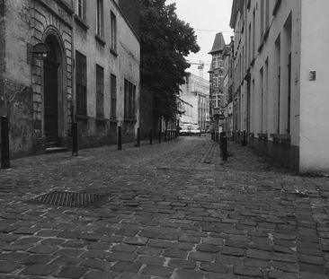 Gerenoveerd karakterappartement op topligging centrum-Gent. - Photo 5