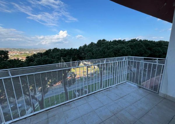 Casa in affitto - Via Provinciale, Stalettì (rif. 45/2025)