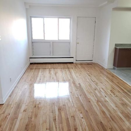 1 CH - 1 SDB - Montréal - $1,300 /mo - Photo 3