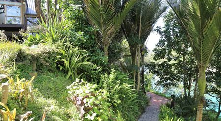 Tranquil Riverside Retreat amidst a Native Bus... - Photo 4