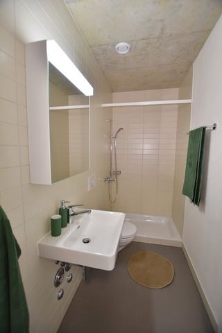 2.5 Zimmer, 57 m², 3. Stock - Foto 4
