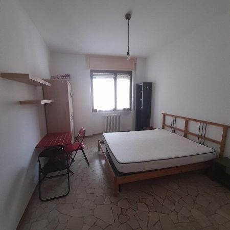 Ampia stanza singola - Foto 4