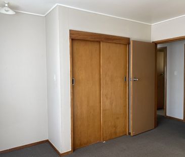 Tidy unit close to Napier CBD - Photo 1