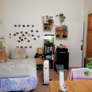 Location Appartement 1 pièce 21m² BORDEAUX 33800 - Photo 2