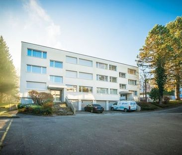 Rent a 3 ½ rooms apartment in Ebmatingen - Foto 2