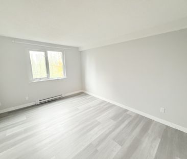 Updated and Bright Corner Unit Two Bedroom in Convenient Lougheed Area - Photo 3