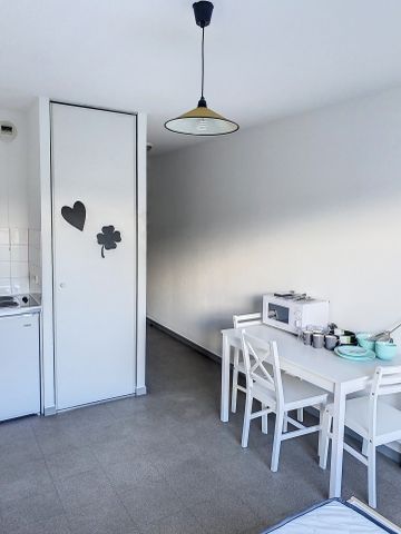 Location Appartement 1 pièce 19m² ANNONAY 07100 - Photo 4