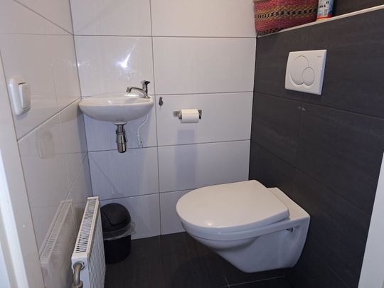 Plantagobeemd, Maastricht - Photo 1