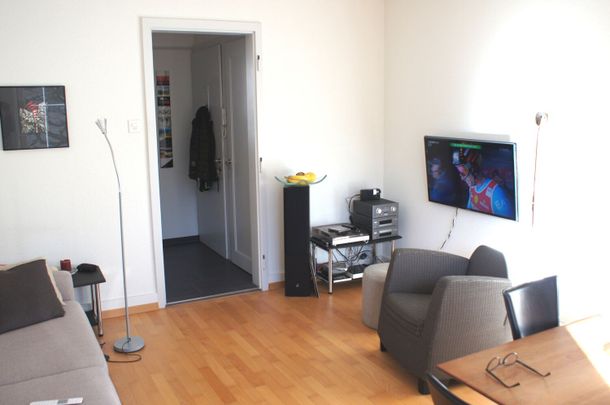 3-ROOM APARTMENT IN BERN, FURNISHED, TEMPORARY - Photo 1