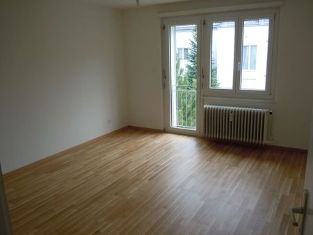 Living in a natural environment - Photo 4