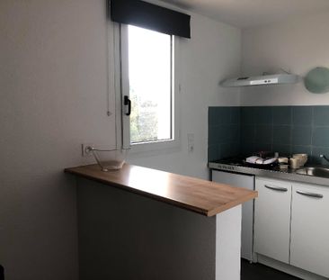 Location Appartement 1 pièce 23m² - Photo 4