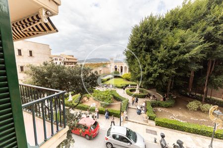 Flat for rent in central Palma - Photo 5