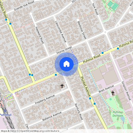 151 Puhinui Road, Papatoetoe, Manukau City